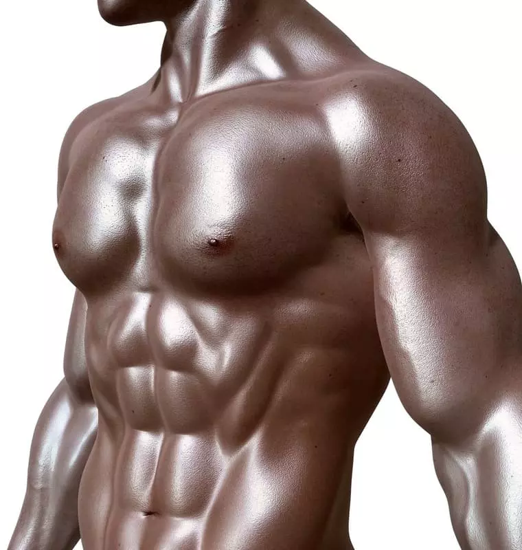 Imagem do homem mostrando a musculatura característica do sexo masculino.