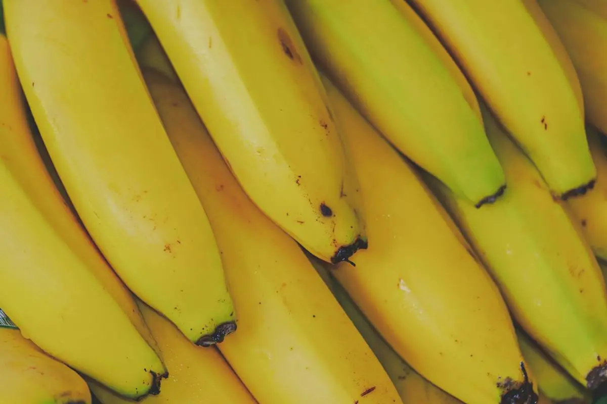 bananas podem fazer partes das frutas no café da manhã