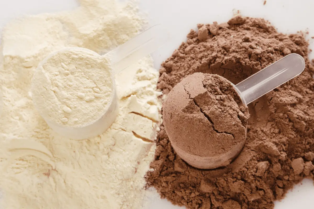 pós de whey protein de baunilha e chocolate. conheça os benefícios do whey protein